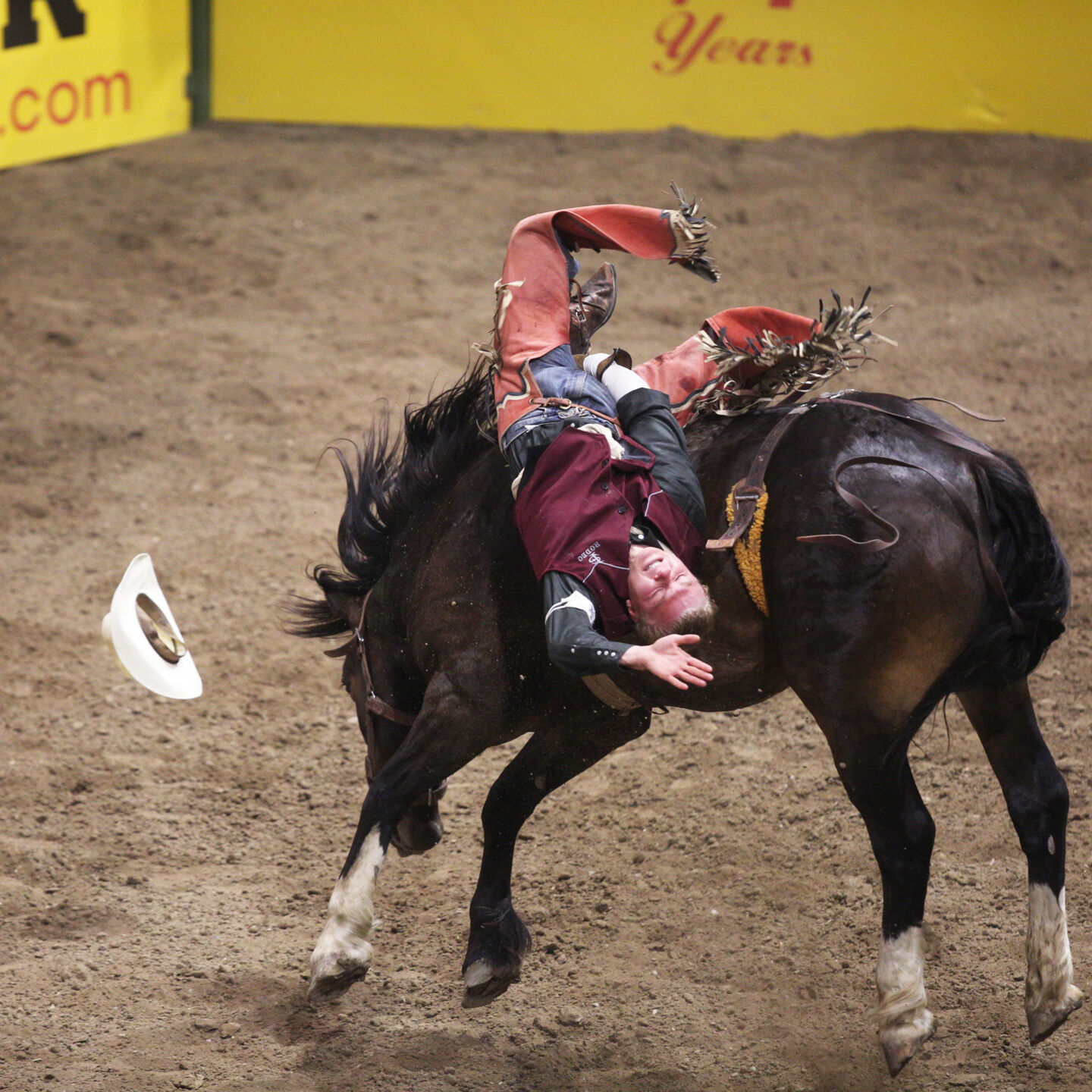 CNFR